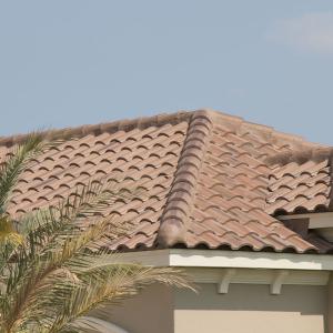 Sanibel | Sandhill | 02